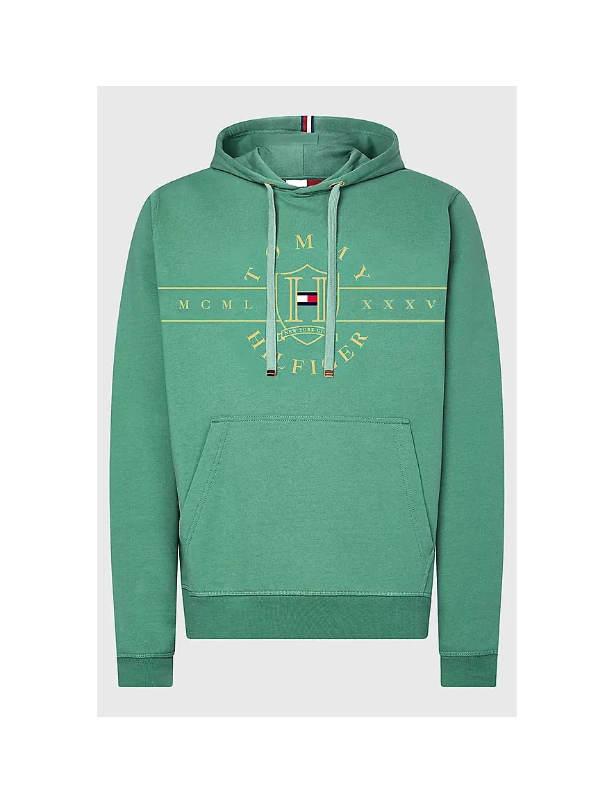 trui Gant groen hoodie