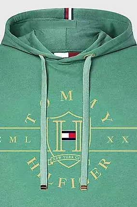 Gant trui hoodie groen