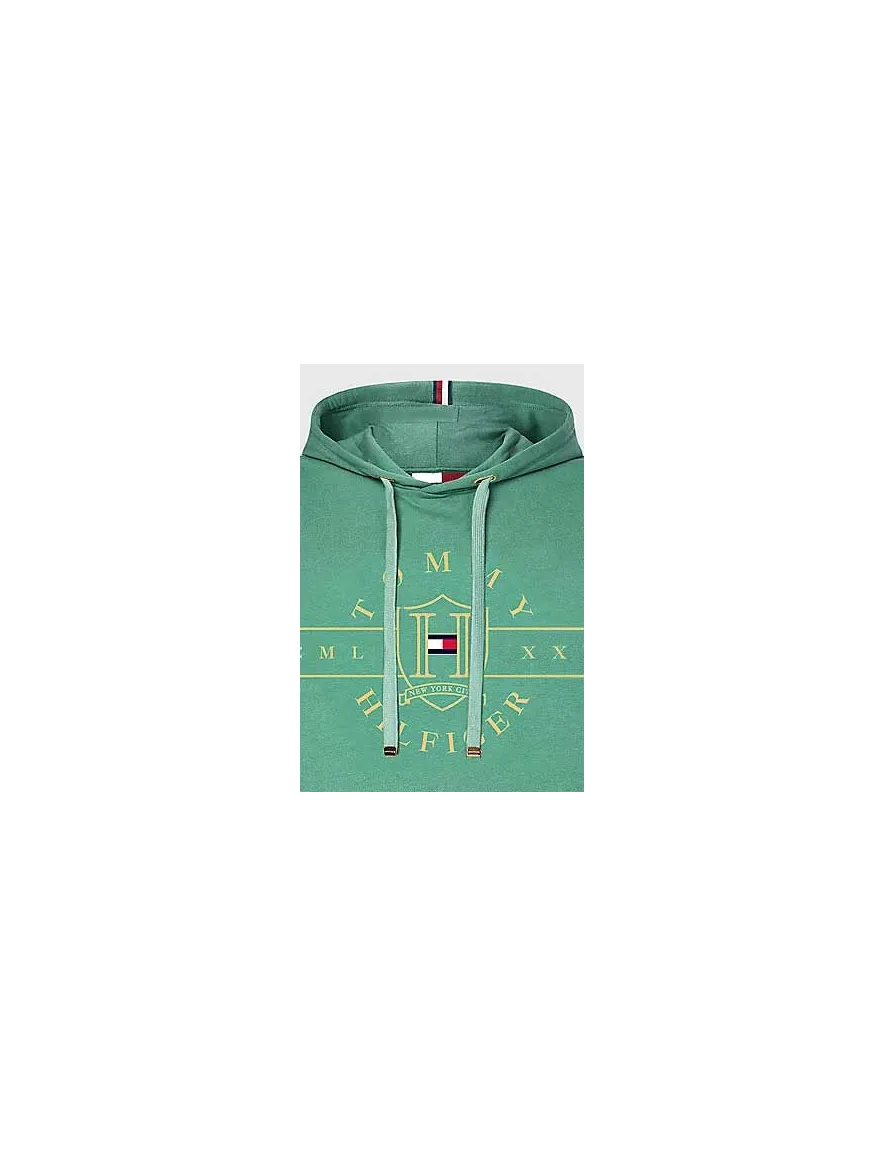 trui Gant groen hoodie
