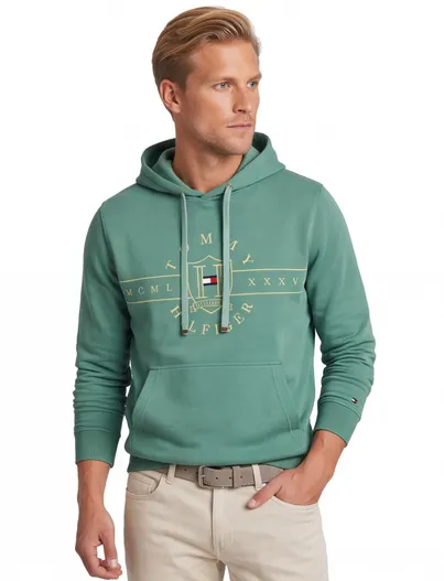 Tommy Hilfiger Gant trui groen hoodie