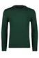 Polo Ralph Lauren Big & Tall trui ronde hals groen effen wol