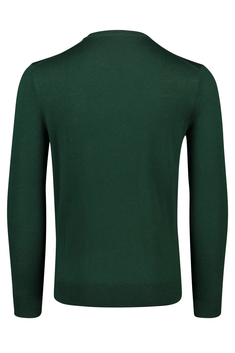 Polo Ralph Lauren Big & Tall trui ronde hals groen effen 100% wol