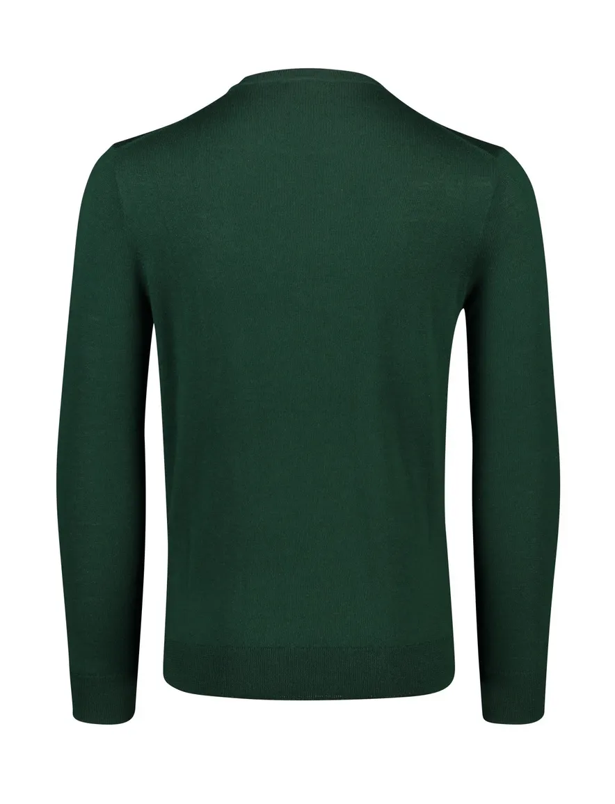 Polo Ralph Lauren Big & Tall trui ronde hals groen effen 100% wol