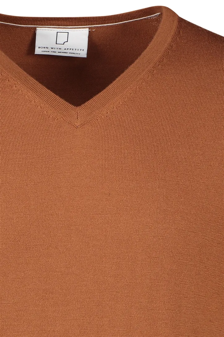 Born With Appetite trui v-hals oranje effen merinowol normale fit