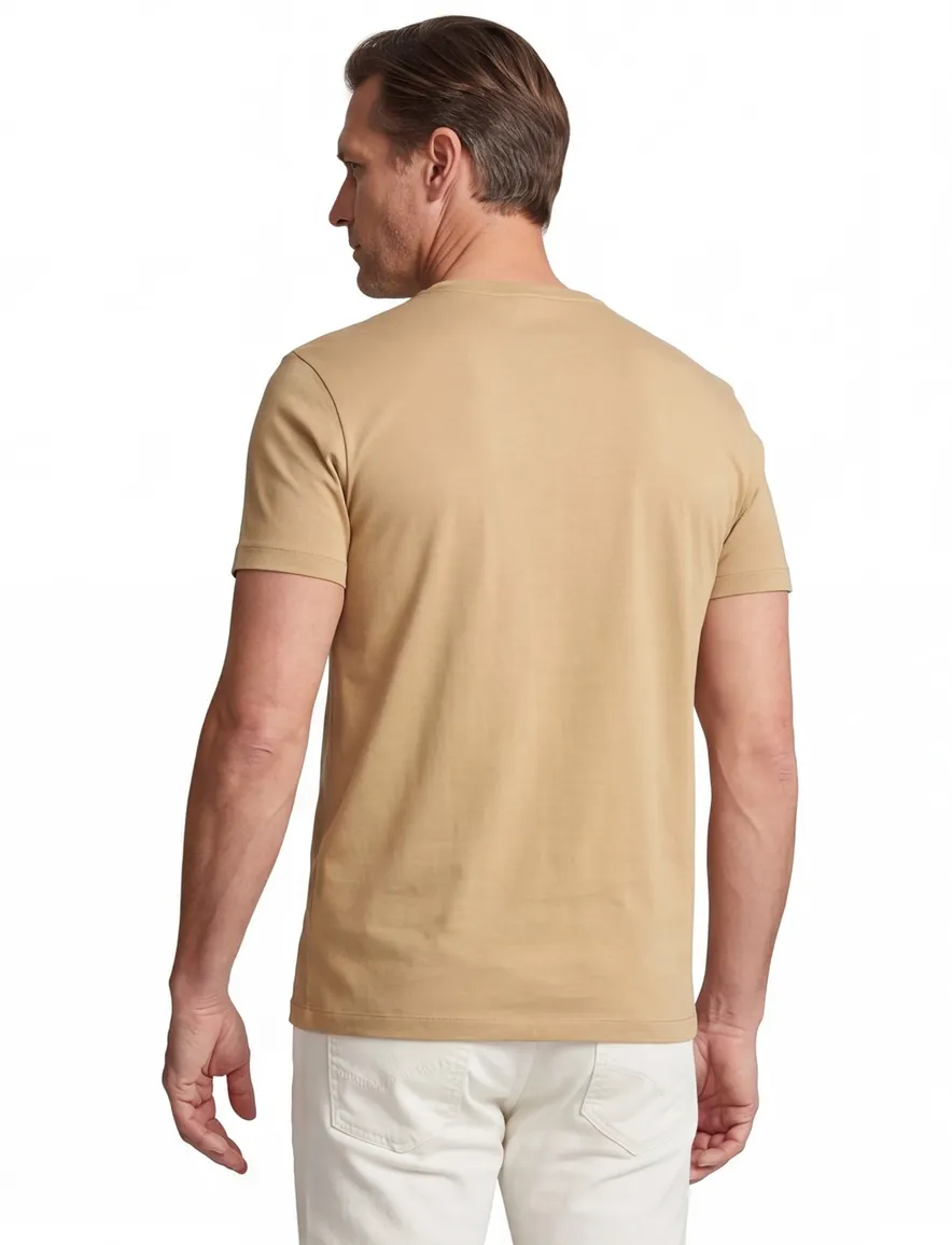 Polo Ralph Lauren t-shirt bruin