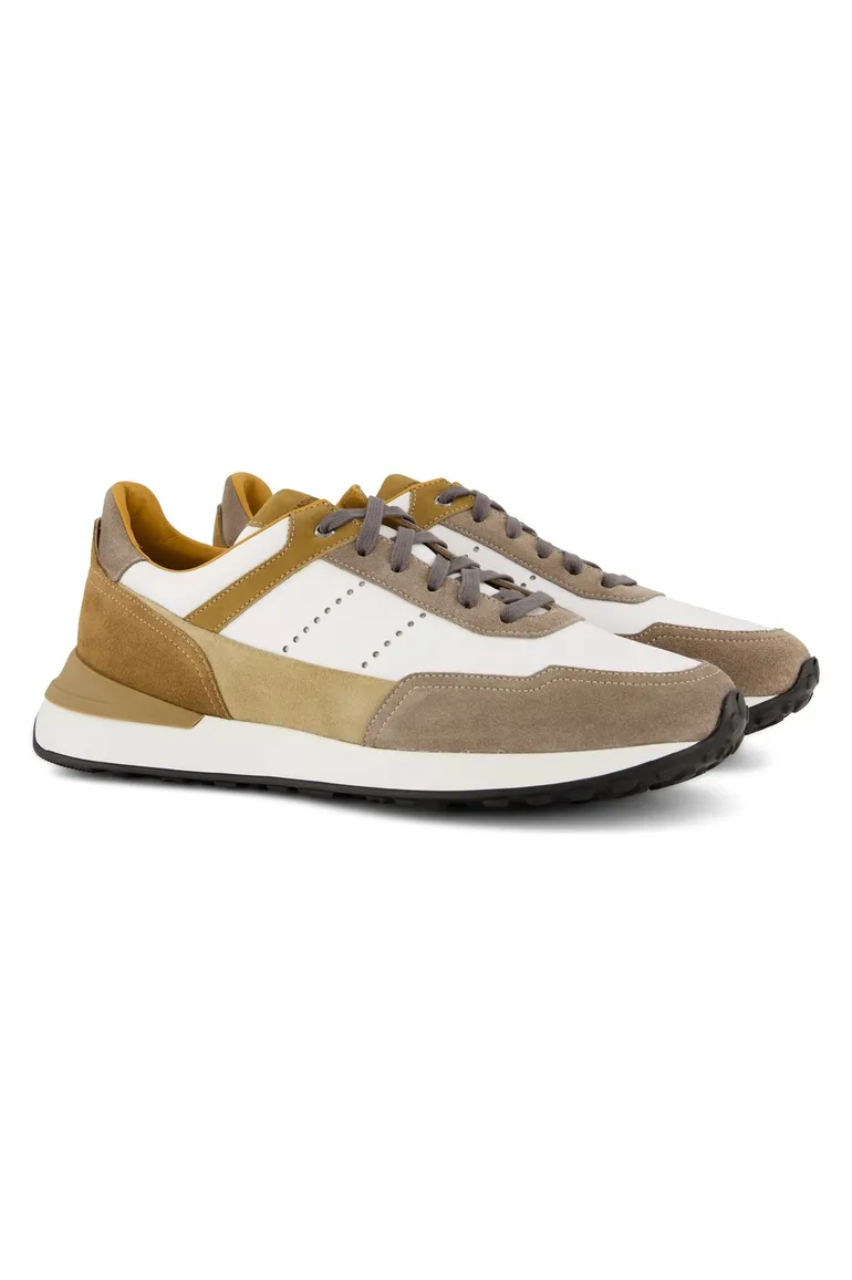 sneakers bruin Magnanni