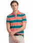 Gant polo normale fit groen roze gestreept