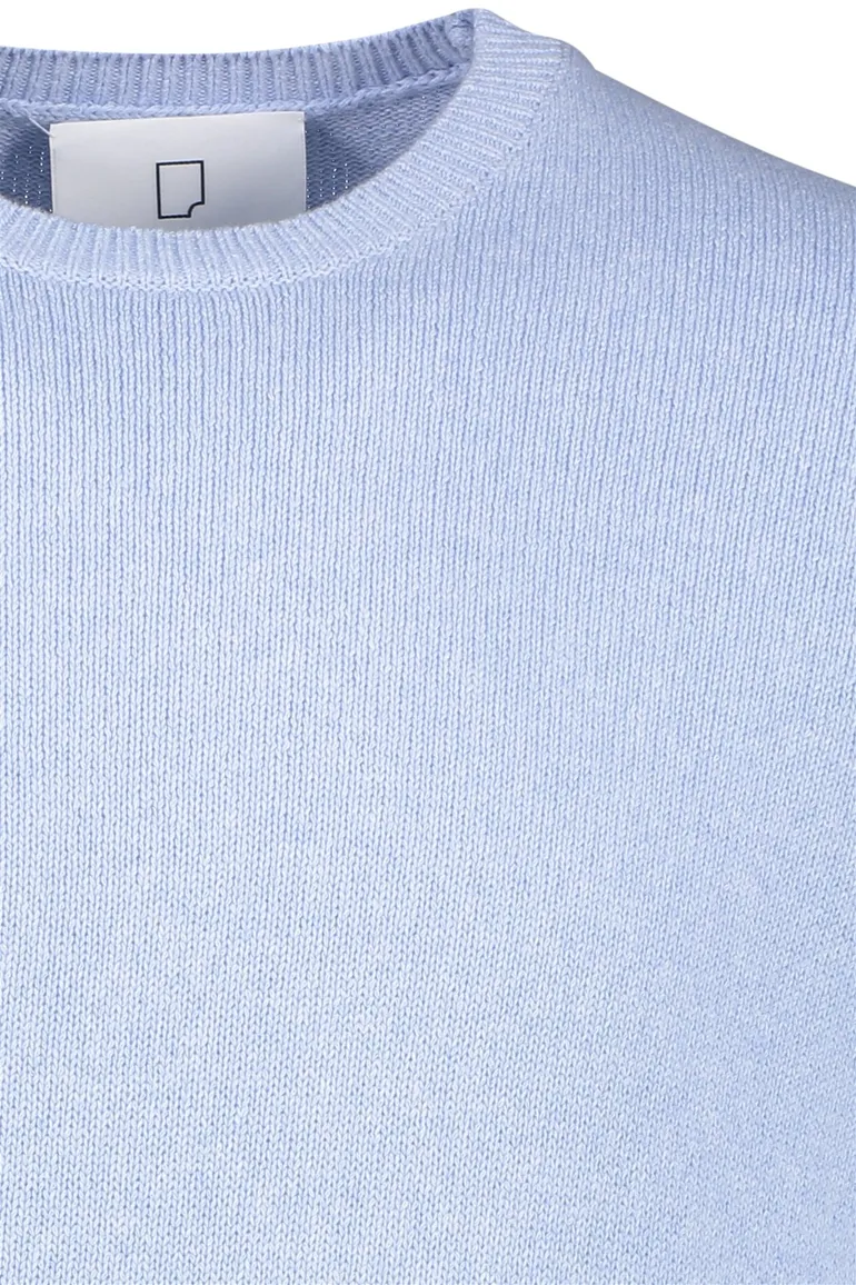 Born With Appetite trui Rex blauw
