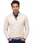 trui half-zip Baileys knopen creme normale fit