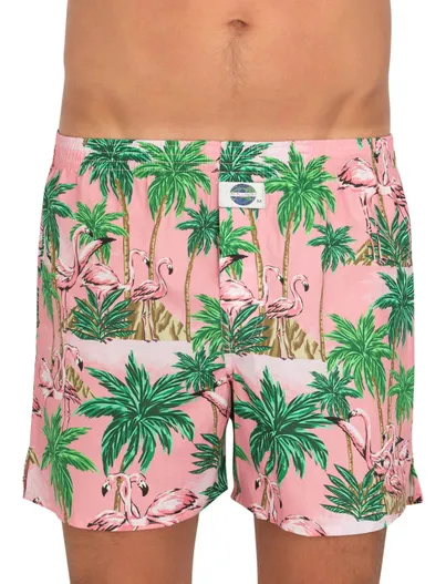 Deal DEAL boxershort flamingo