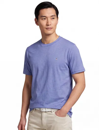 Gant Gant gestreept T-shirt blauw wit jersey korte mouw