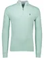 Polo Ralph Lauren half zip trui groen gemêleerd