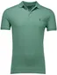 sportief Polo Ralph Lauren poloshirt groen