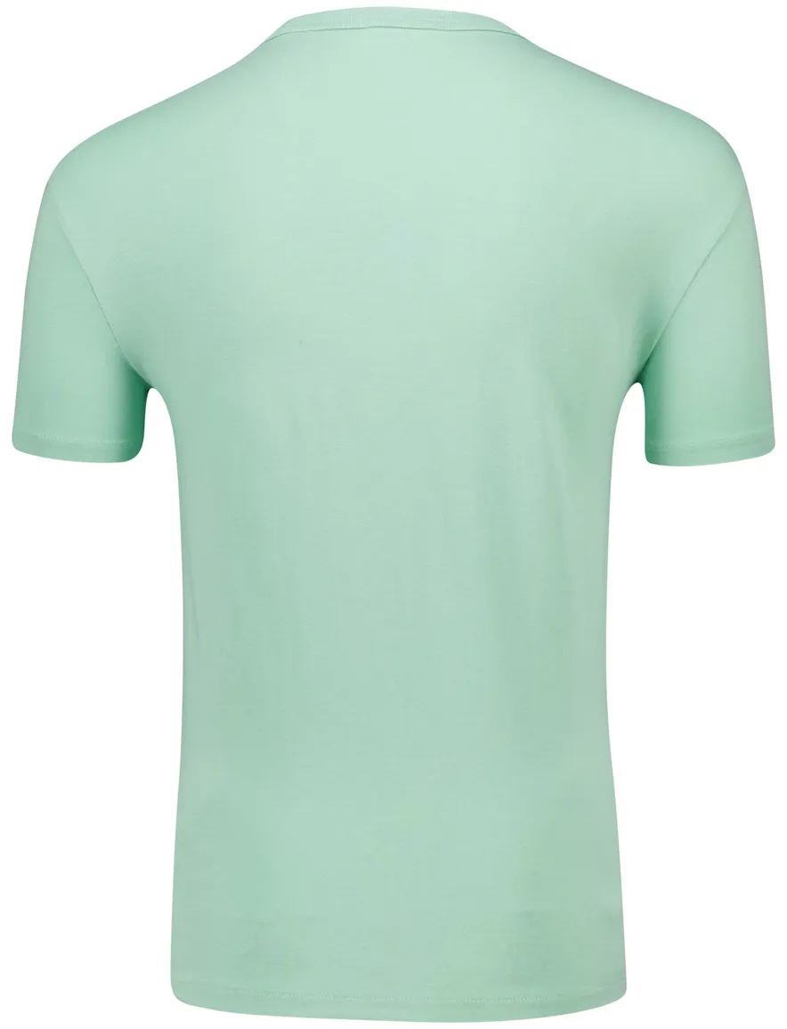 Polo Ralph Lauren classic fit t-shirt groen katoen
