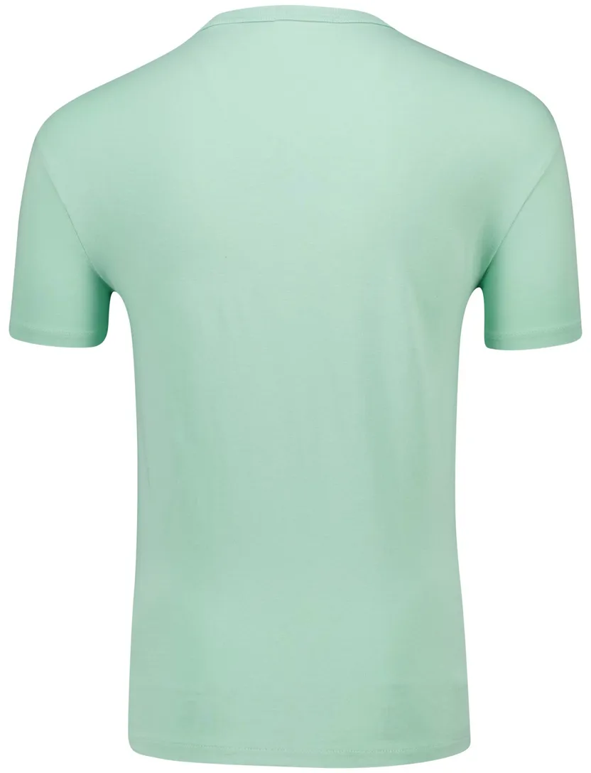 Polo Ralph Lauren t-shirt groen katoen