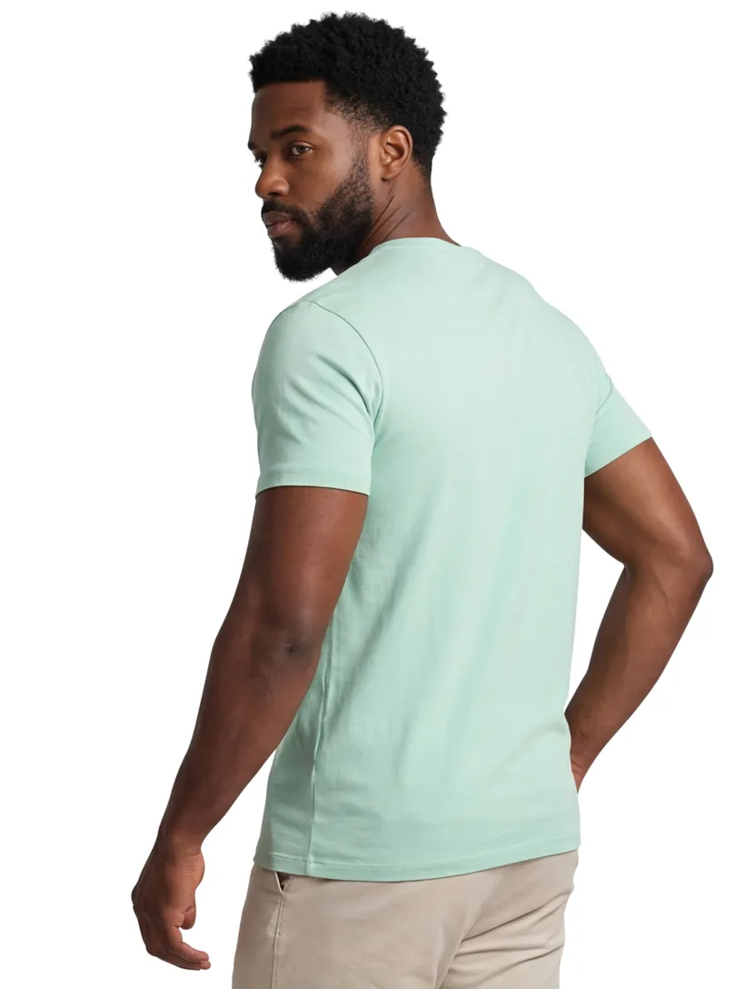 Polo Ralph Lauren t-shirt groen katoen