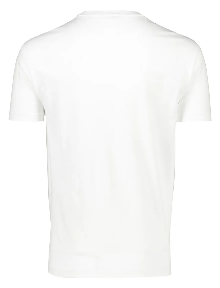 Polo Ralph Lauren t-shirt wit opdruk Big & Tall