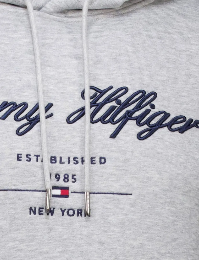 Tommy Hilfiger hoodie grijs met logo met boord
