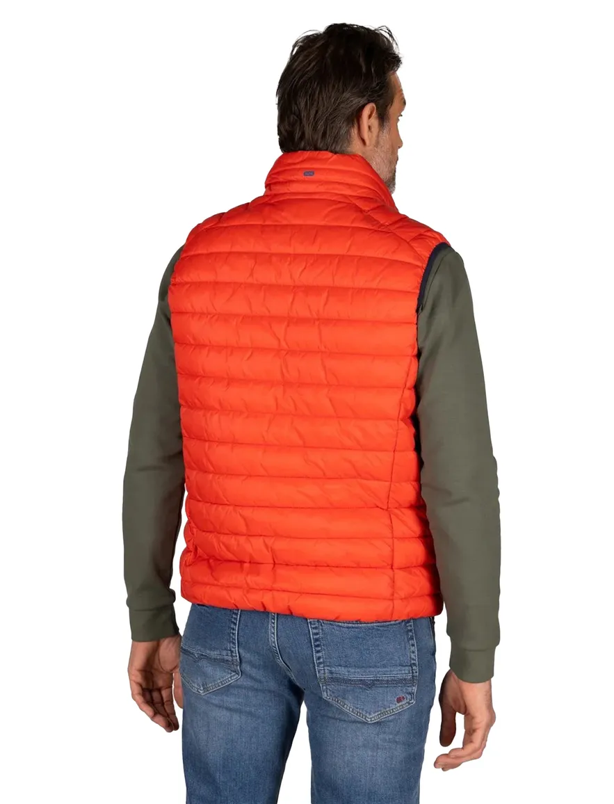 New Zealand bodywarmer effen oranje Harvey normale fit