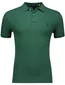 Polo Ralph Lauren polo groen 2-knoops