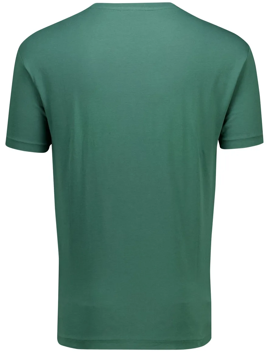 Polo Ralph Lauren T-shirt groen korte mouw