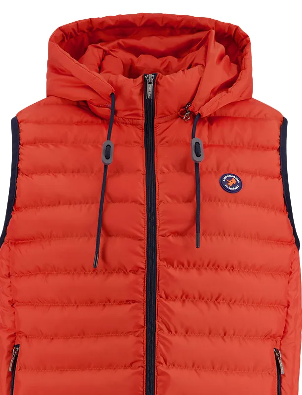 A Fish Named Fred bodywarmer slim fit oranje effen