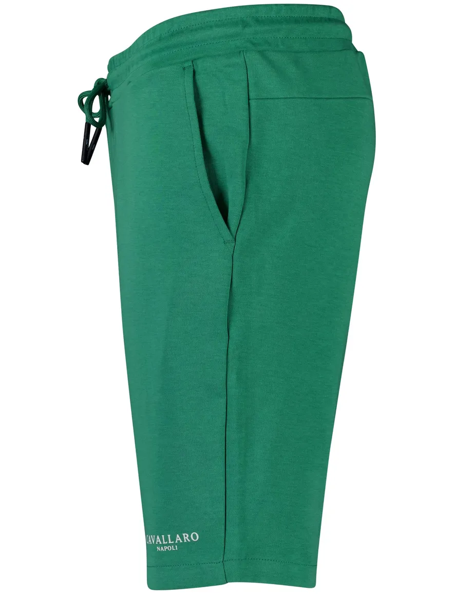 Cavallaro Neapolis bermuda groen effen