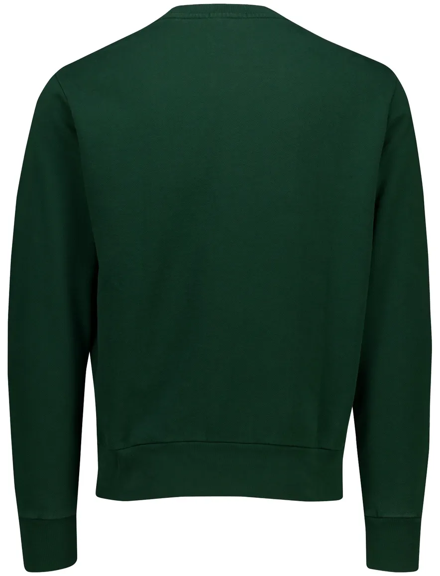 Polo Ralph Lauren sweater groen