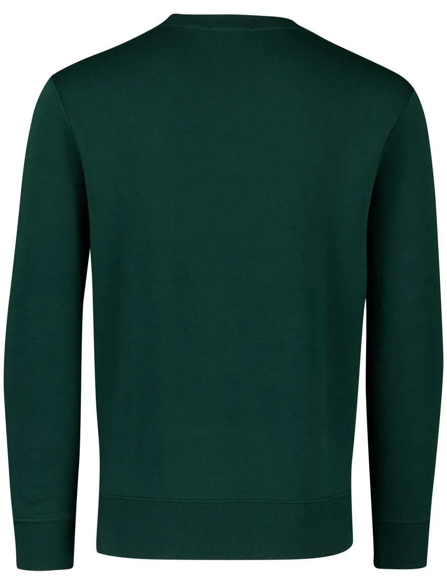 Polo Ralph Lauren sweater Donker groen Beer