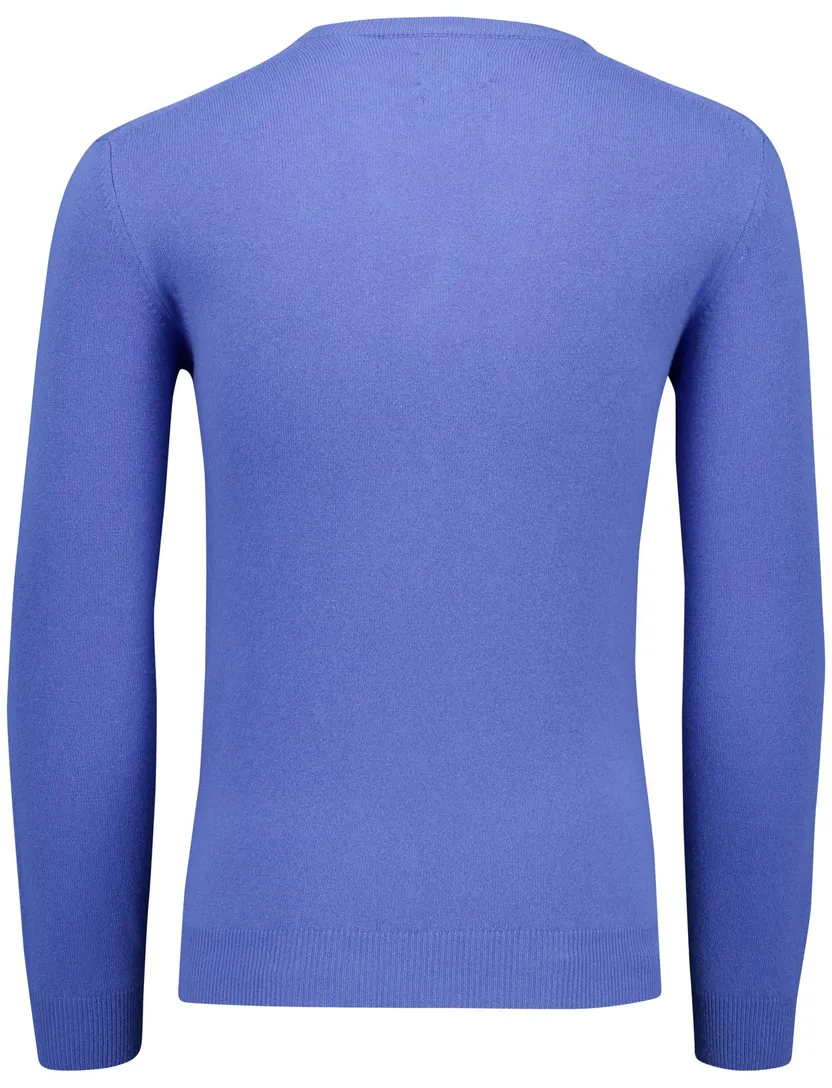 Lamswol V-hals trui Gant blauw