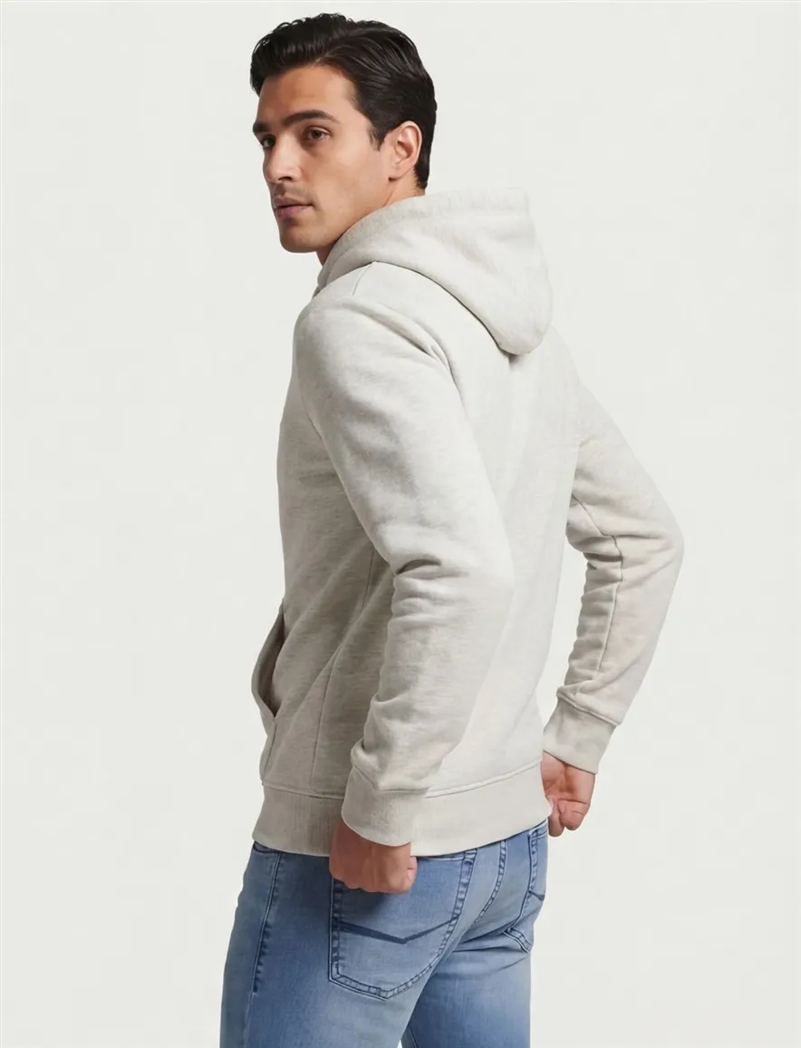 Superdry Hoodie grijs