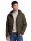 tussenjas groen Superdry
