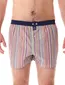 Mc Alson boxershort multicolor streepjes
