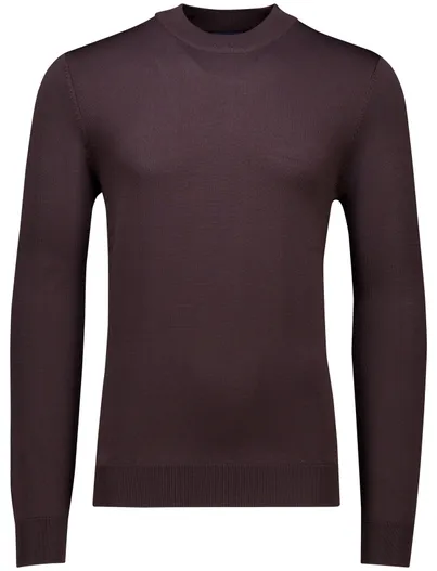 Cavallaro Cavallaro trui bruin effen Milacio turtle neck