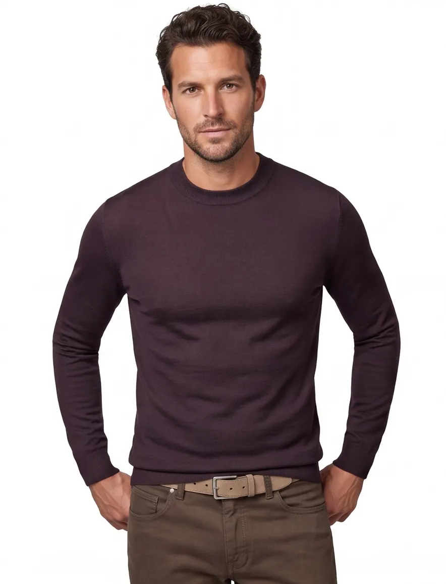 Cavallaro trui aubergine effen Milacio turtle neck