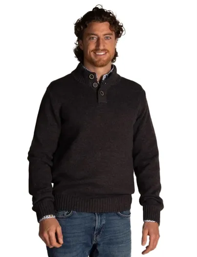 New Zealand Adan trui NZA half zip knopen normale fit bruin