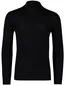 Born with appetite turtle neck trui effen