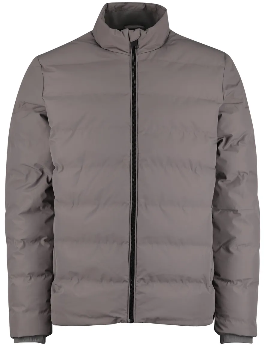 Cavallaro Cesario winterjas grijs