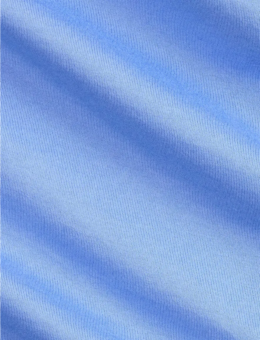 Polo Ralph Lauren big en tall overhemd blauw wijde fit