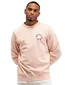 Butcher of Blue sweater kleur roze met print