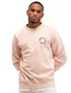 Butcher of blue trui roze backprint katoen