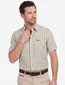 Barbour Relaxed Fit overhemd groen geruit