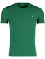 Groen Polo Ralph Lauren Custom Slim Fit t-shirt