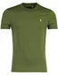 Polo Ralph Lauren Custom Slim Fit t-shirt groen