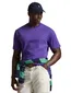 Polo Ralph Lauren Big & Tall T-shirt paars groen logo