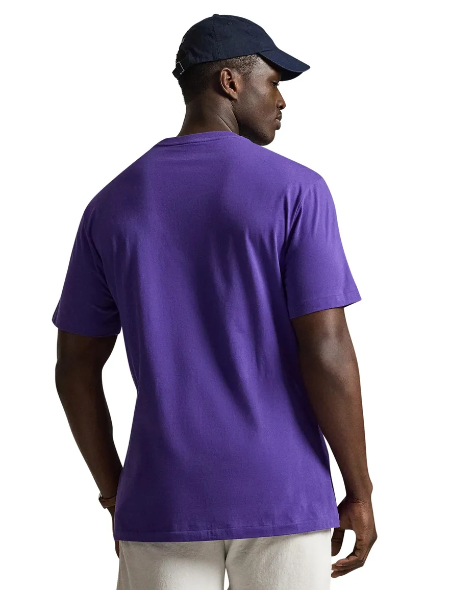 Paars T-shirt Polo Ralph Lauren Big & Tall jersey groen paard
