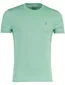 Polo Ralph Lauren groen Custom Slim Fit t-shirt