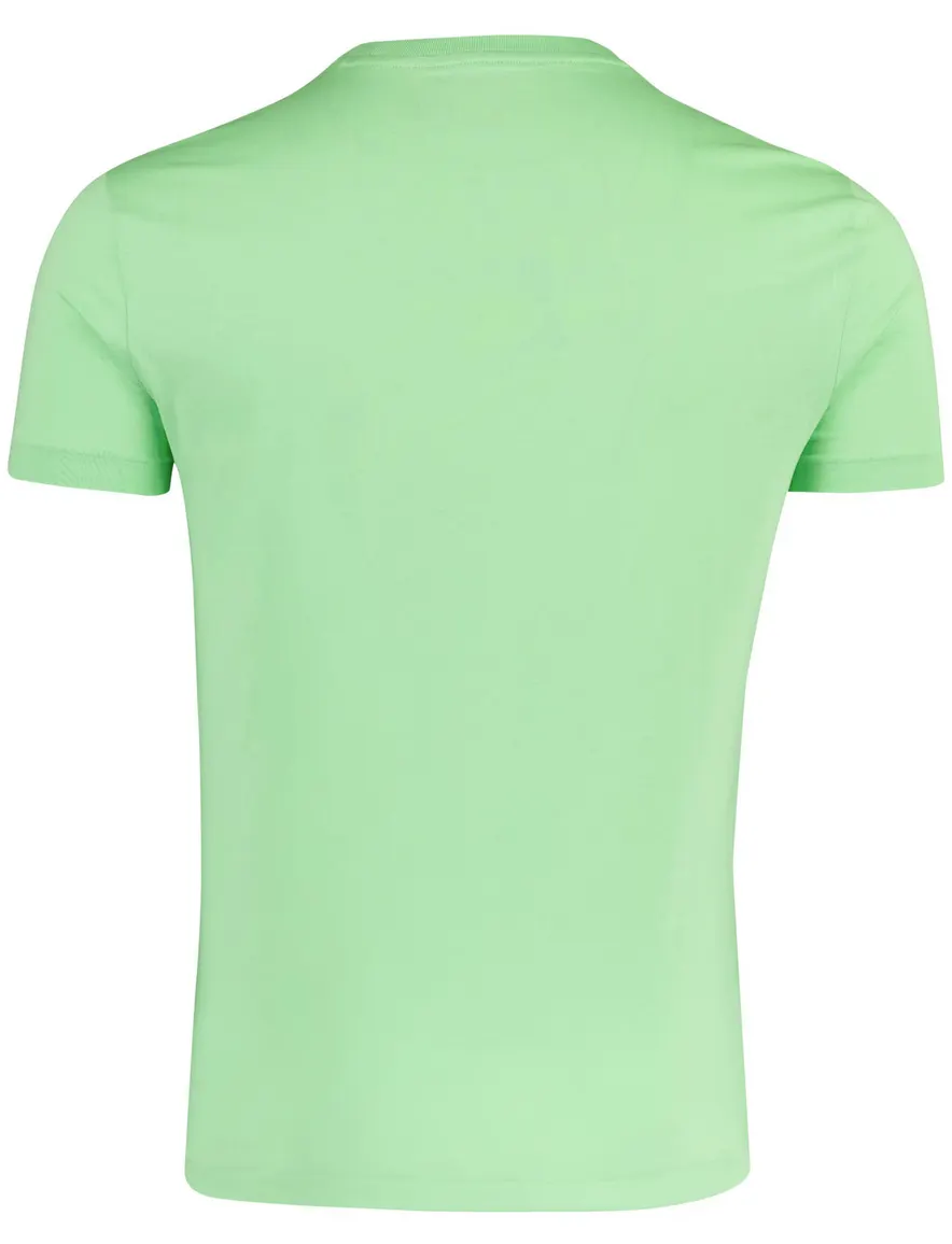 Polo Ralph Lauren T-shirt groen
