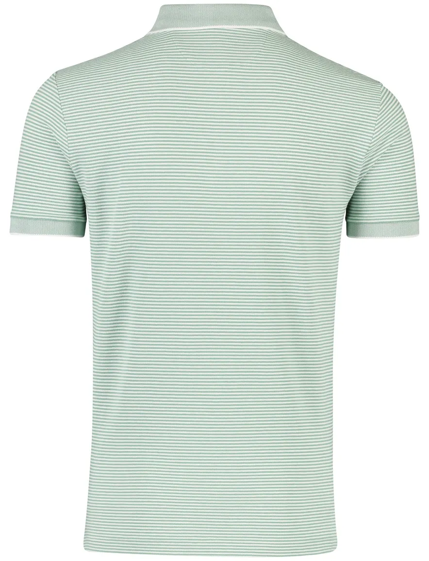 Polo Ralph Lauren poloshirt groen wit gestreept