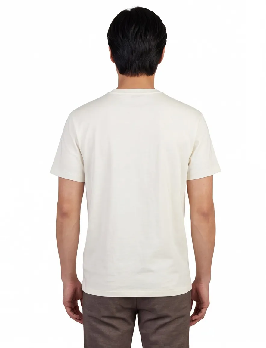 Polo Ralph Lauren T-shirt Classic Fit wit Bear